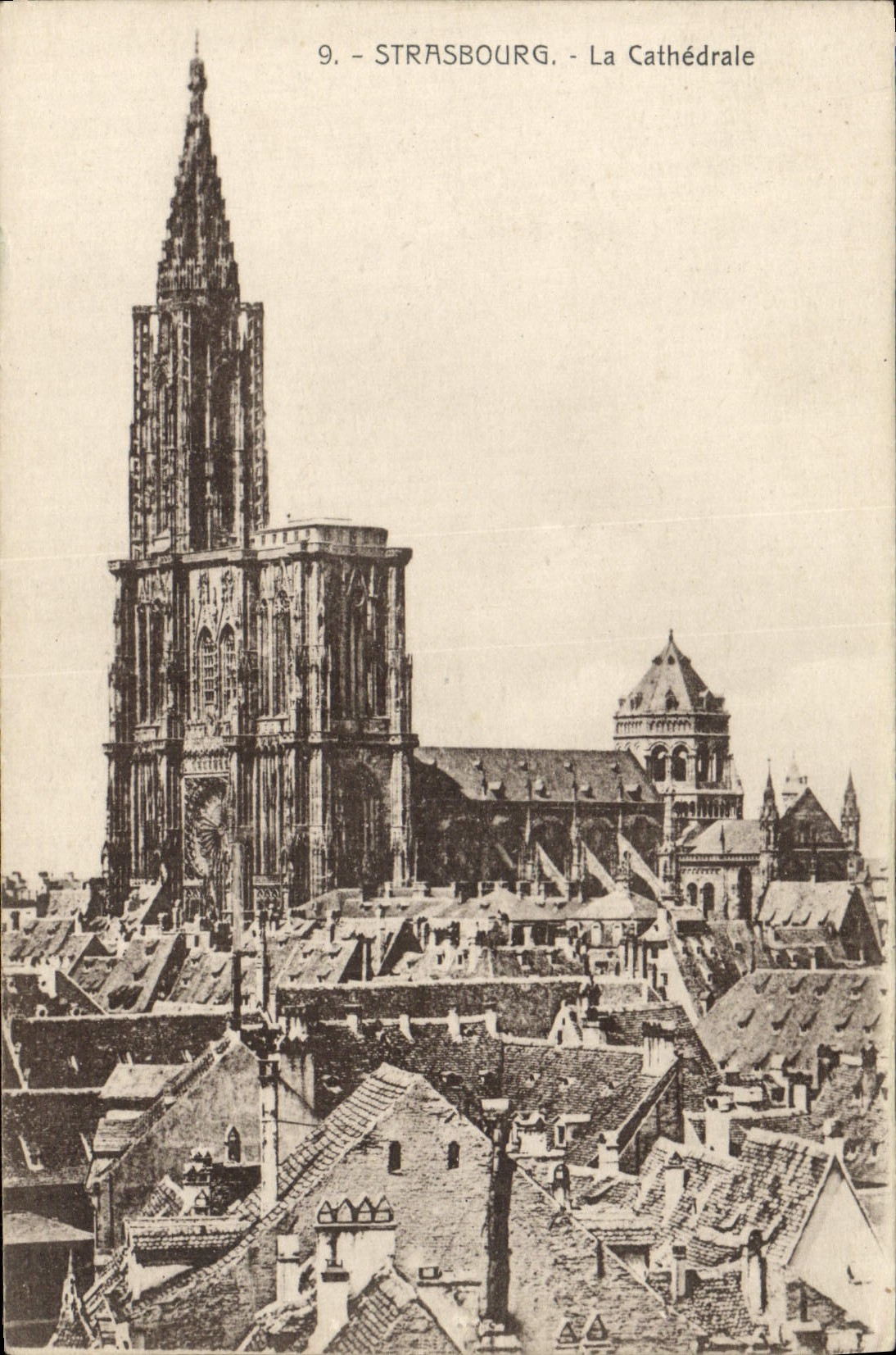 POSTAL Strassburg de la VENDIMIA la catedral