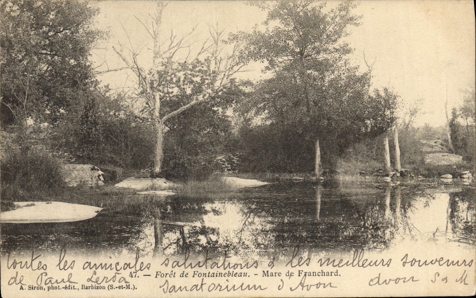VINTAGE POSTCARD Drill of Fontainebleau Pond of Franchard