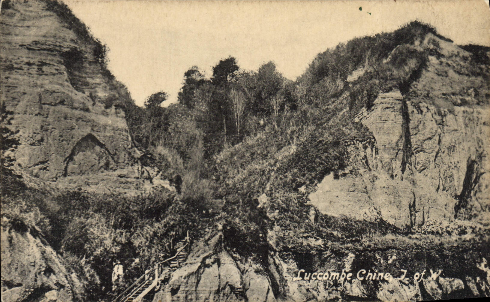 VINTAGE POSTCARD Luccombe China