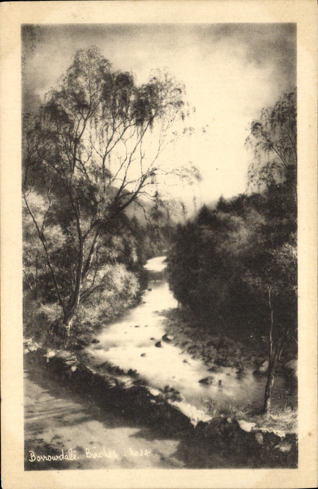 VINTAGE POSTCARD Borrowdale Birches