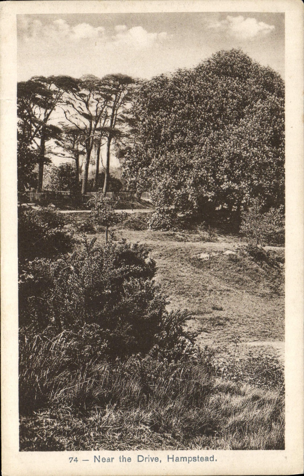 VINTAGE POSTCARD Near the Drive Hampstead