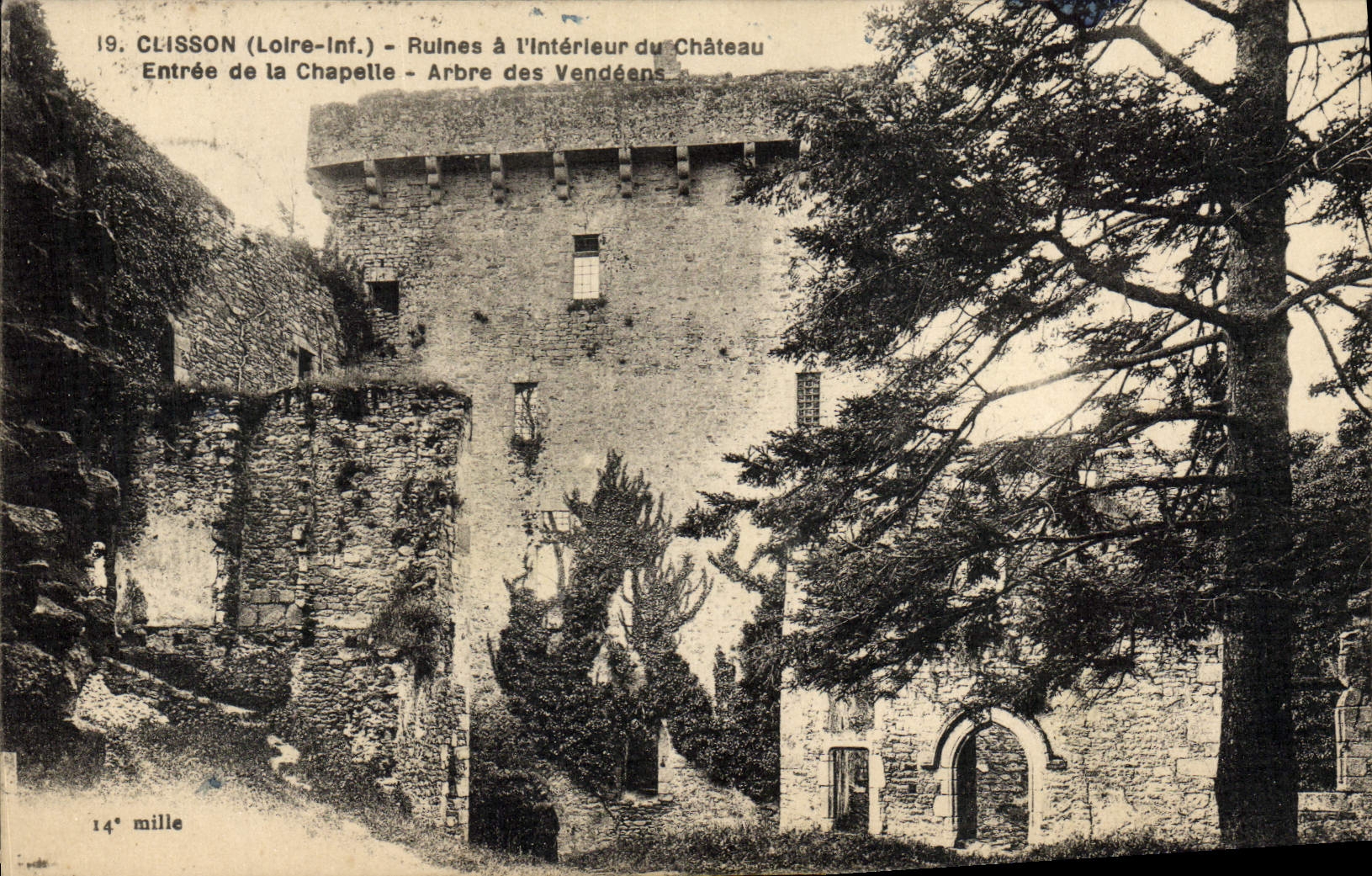 VINTAGE POSTCARD Clisson Ruins Inside the Castle Entered Of the Vault Tree of the Vendean ones