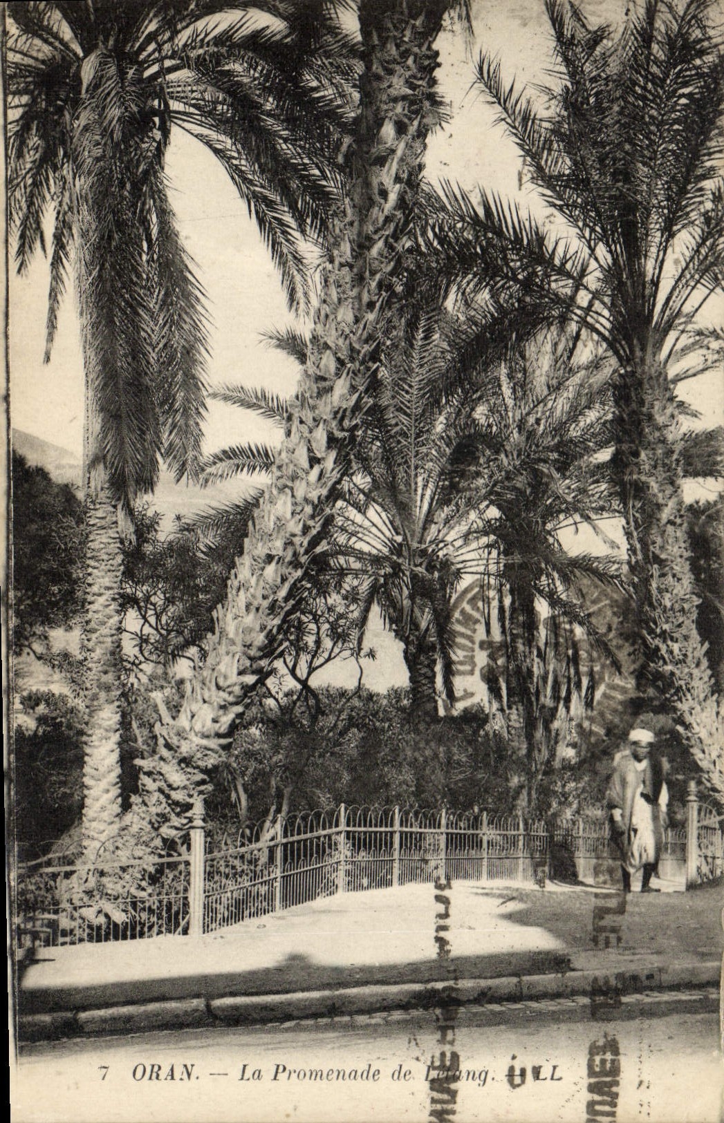 CPA Oran La Promenade De l'Etang