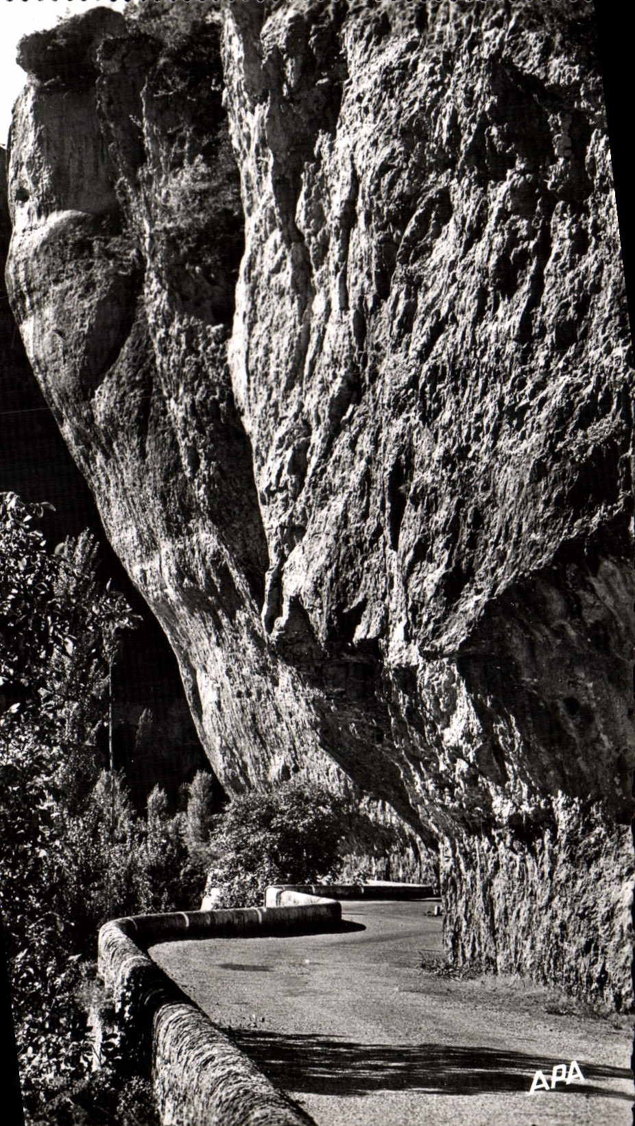 CPM En Parcourant les Gorges du Tarn Le Cirque des Baumes L'encorbeillement