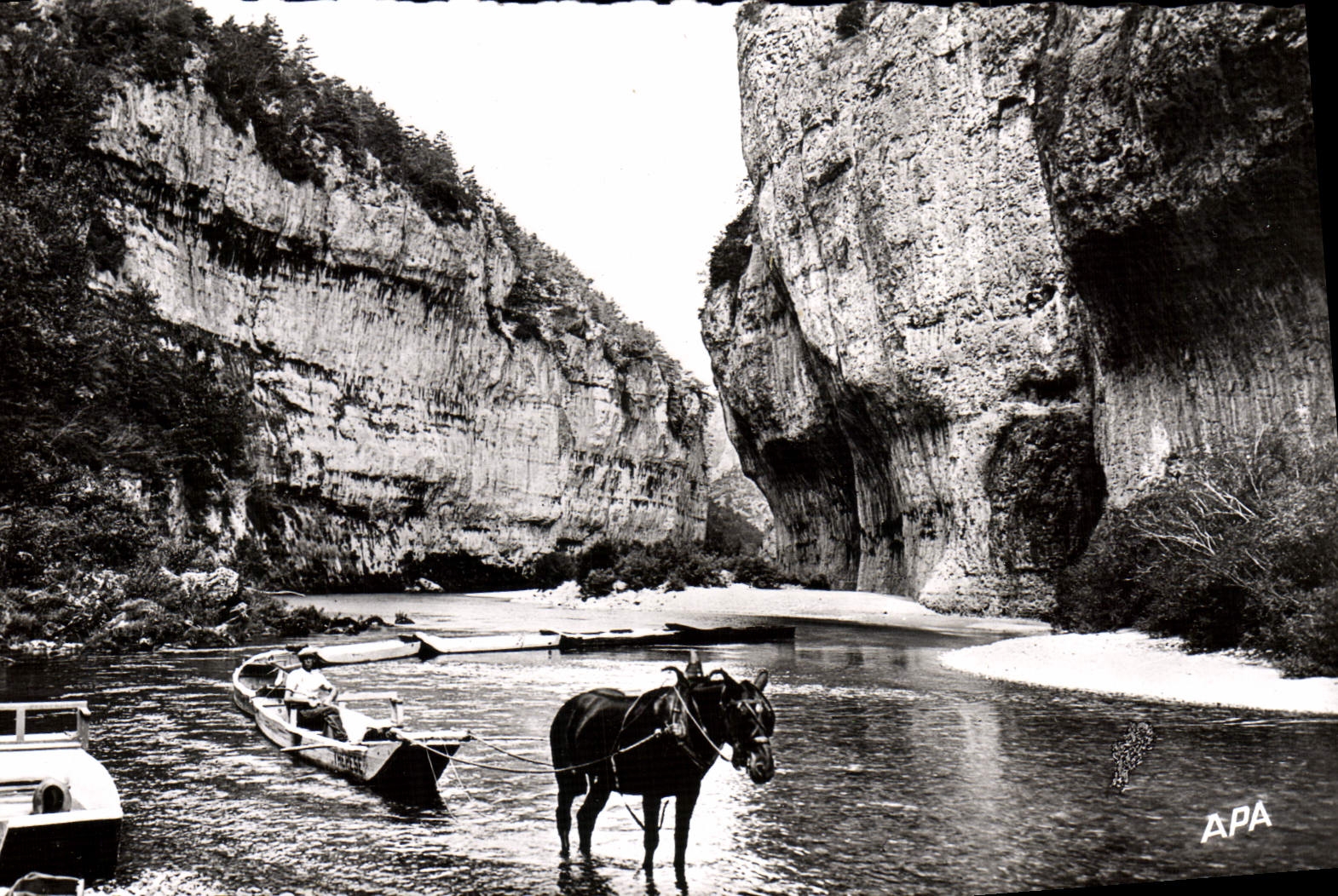 CPM En Parcourant les Gorges du Tarn Les Detroits Un train de barques