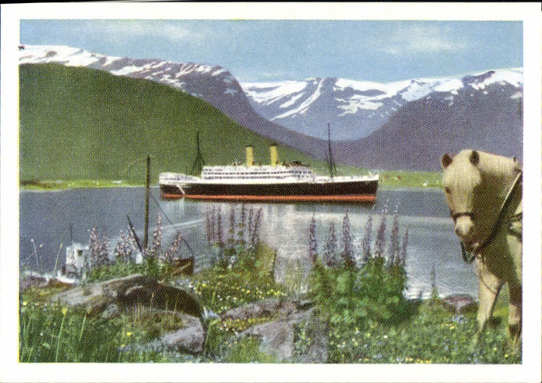 MODERN CARD Turistskip I fjordene