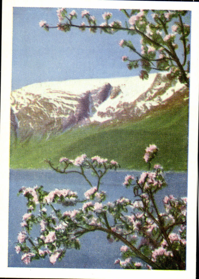 CPM Fra Hardanger