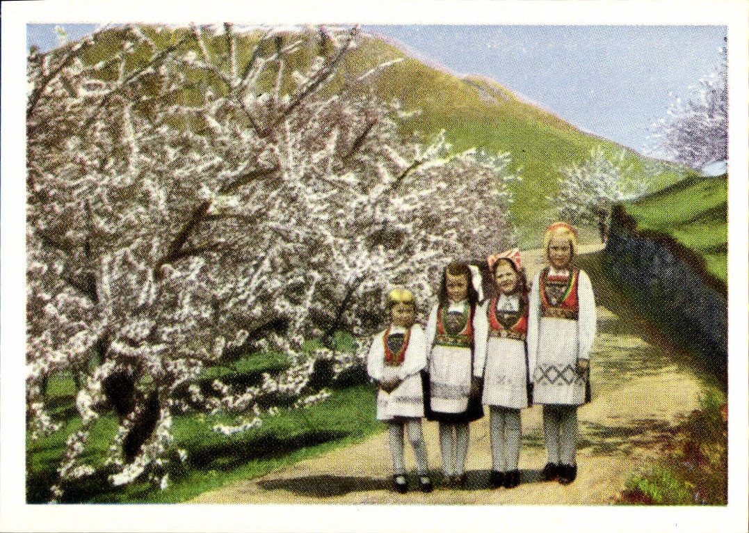 MODERN CARD Hardangergjenter