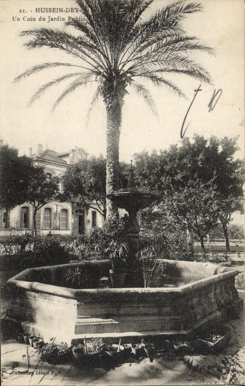 CPA Hussein Dey Un Coin du Jardin