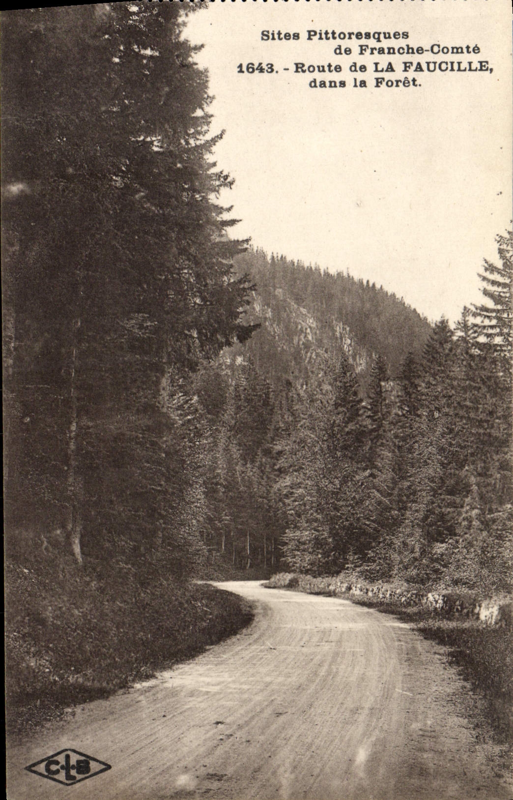 CPA Route de La Faucille dans la Foret