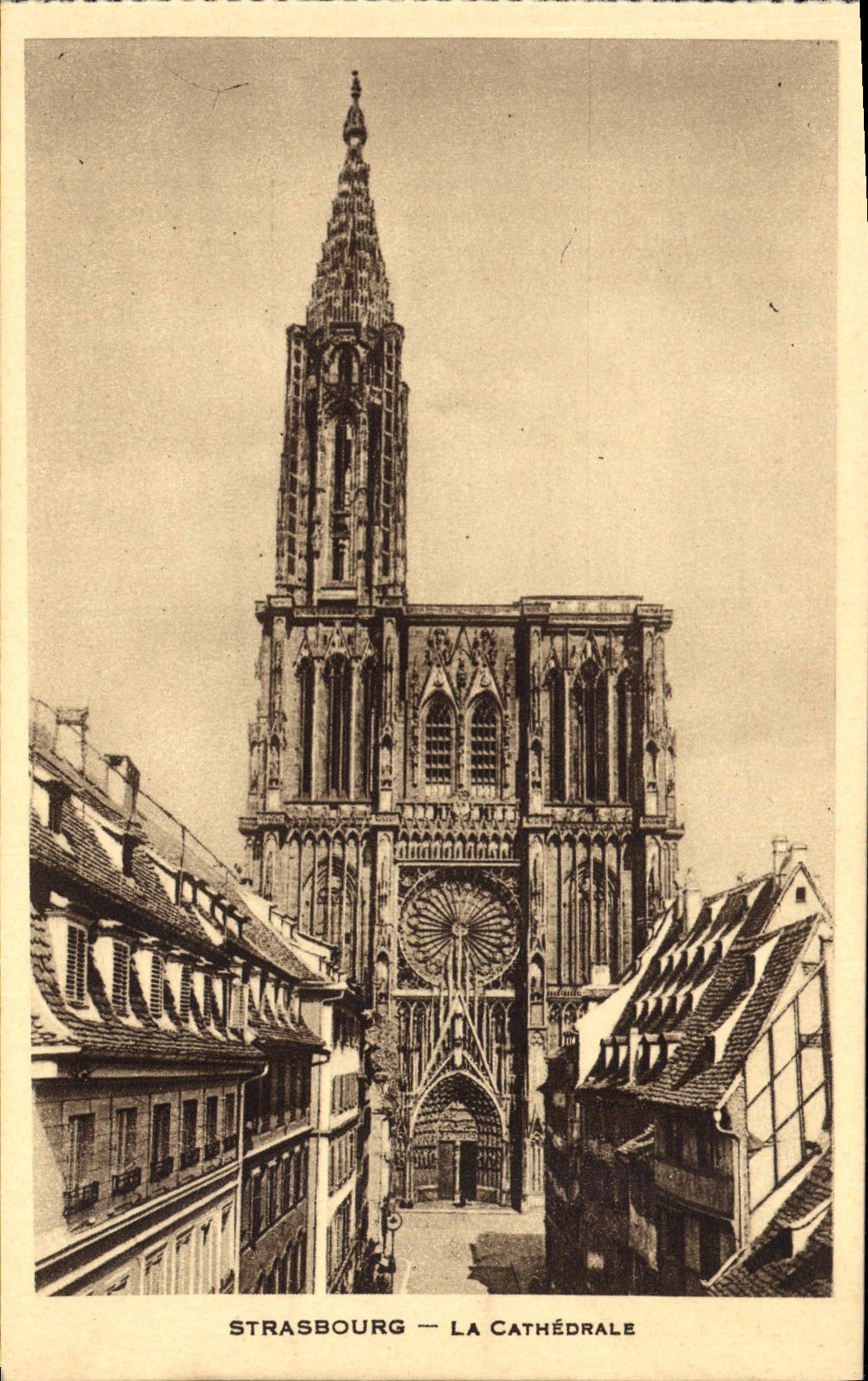 POSTAL Strabourg de la VENDIMIA la catedral