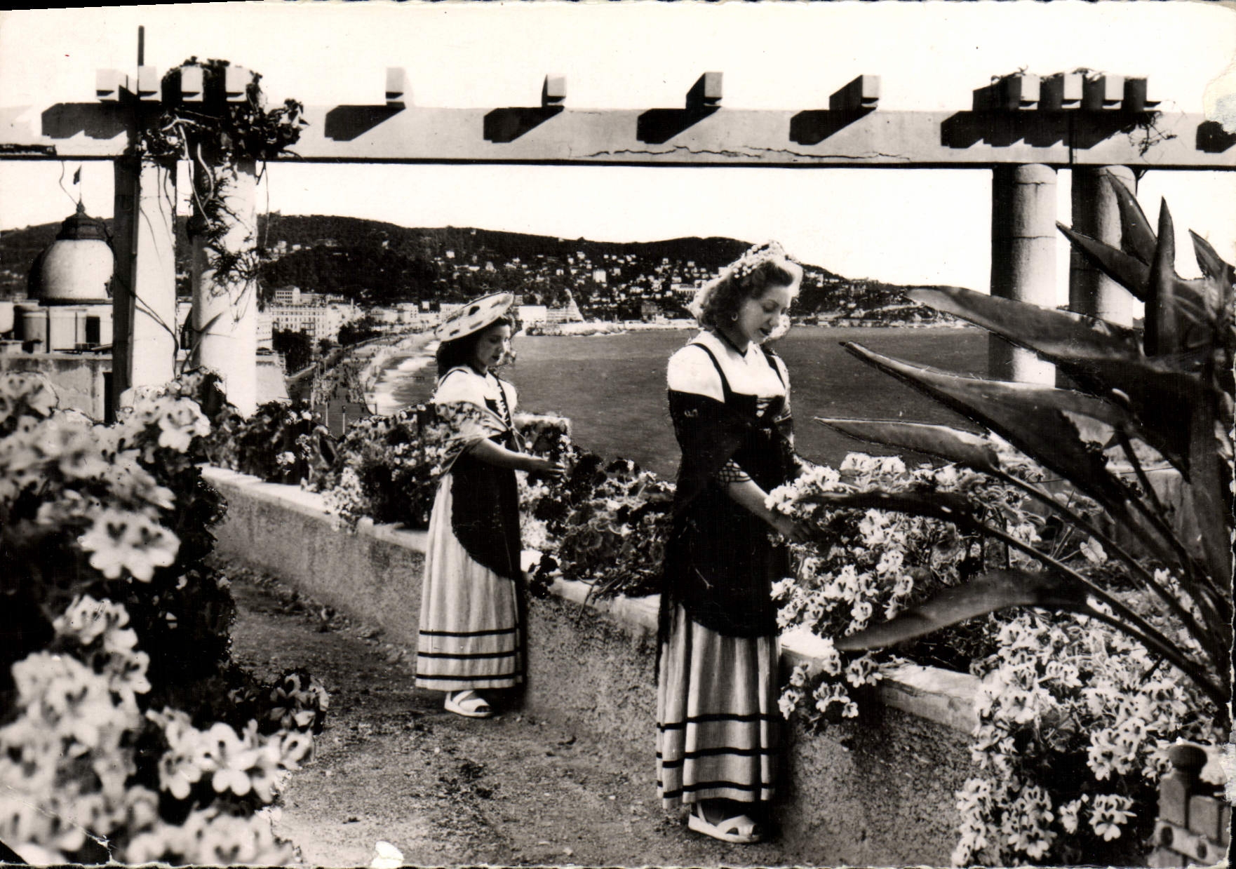 CPM La Cote D'Azur Nicoises Nice Folklore Femmes