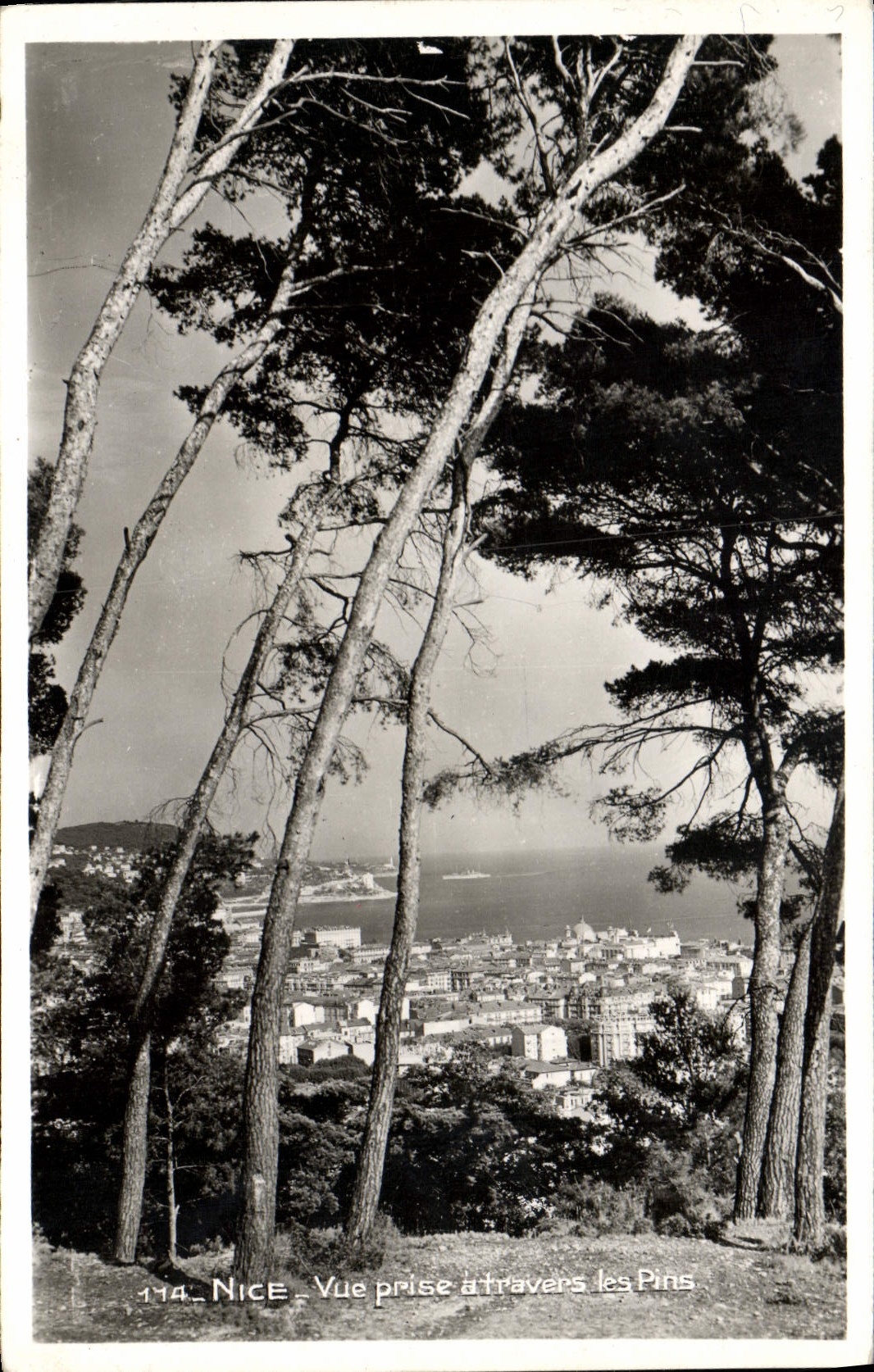 POSTAL MODERNA Niza vista a través de los pinos