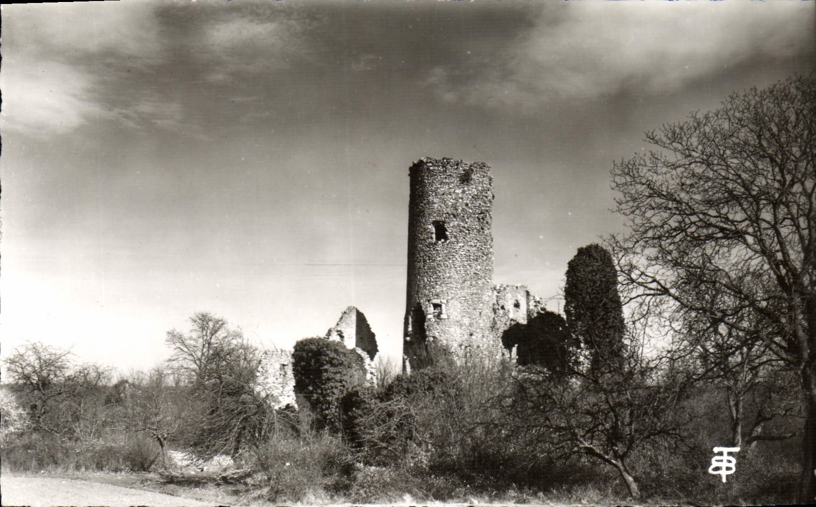 MODERN CARD Surroundings of Dourdan Ruins of the Castle of the Barns