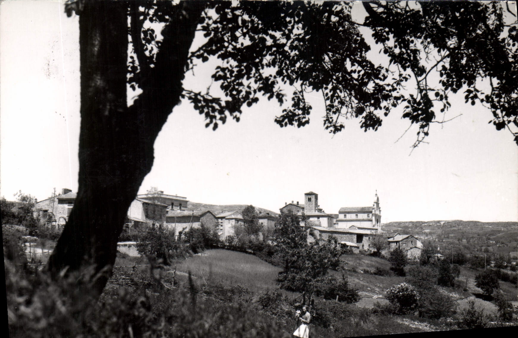 CPM Cogno S Savino Panorama