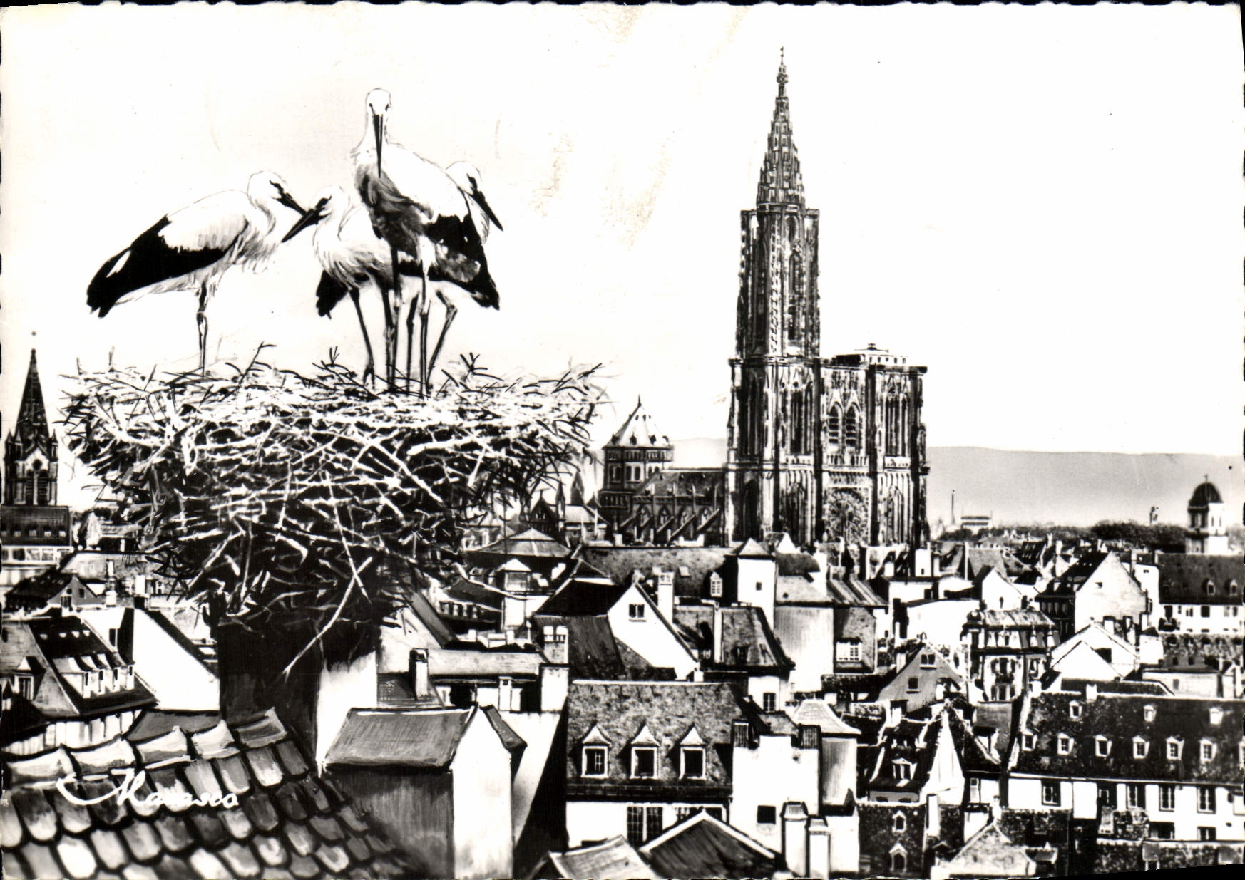 POSTAL MODERNA opinión de Estrasburgo y la jerarquía de cigüeñas