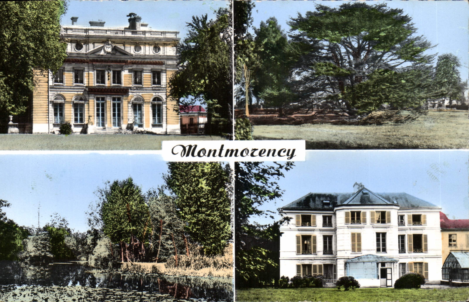 MODERN CARD Montmorency the Town hall the Cedar Of Lebanon