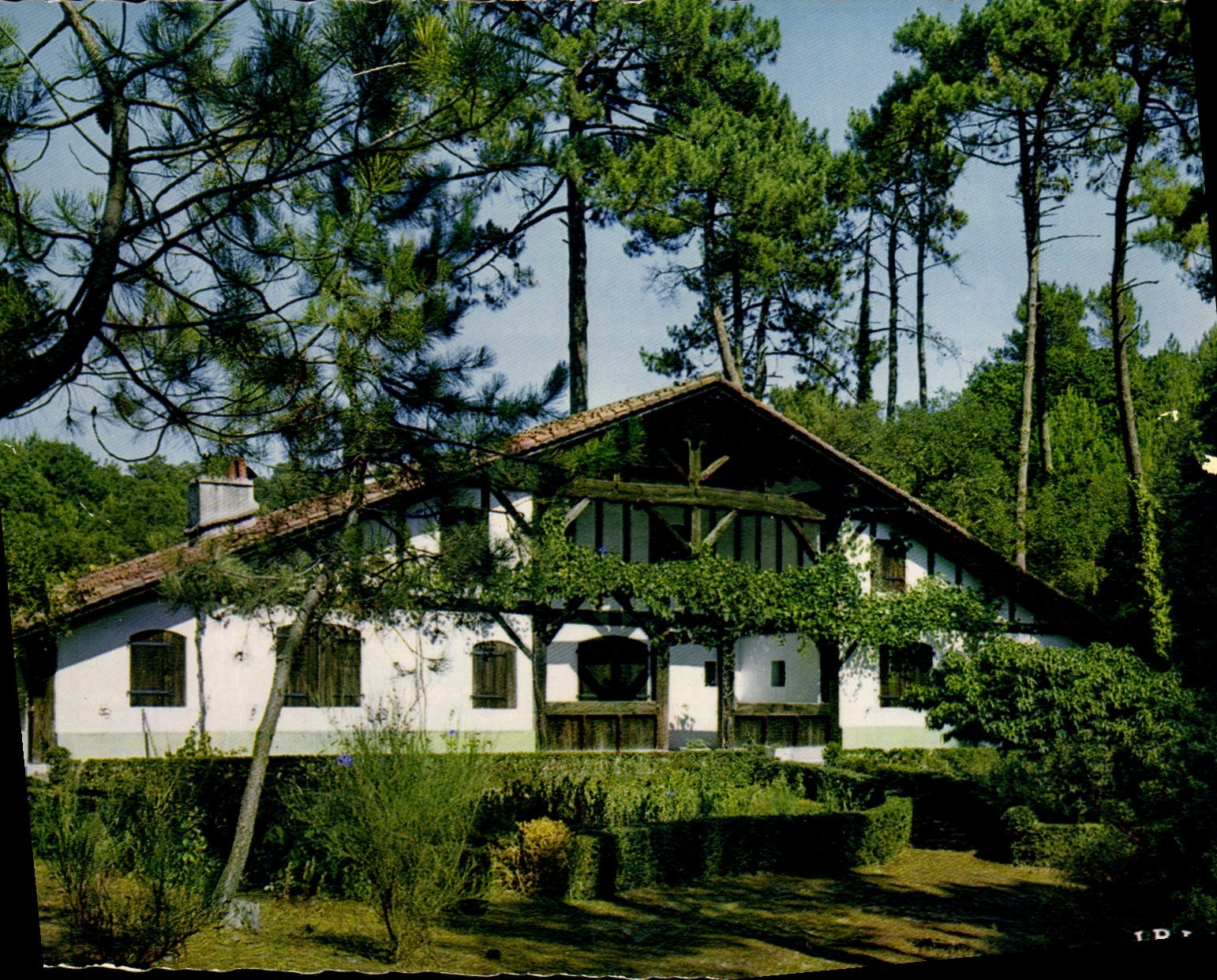 CPM Villa Landaise au milieu Des Pins Landes