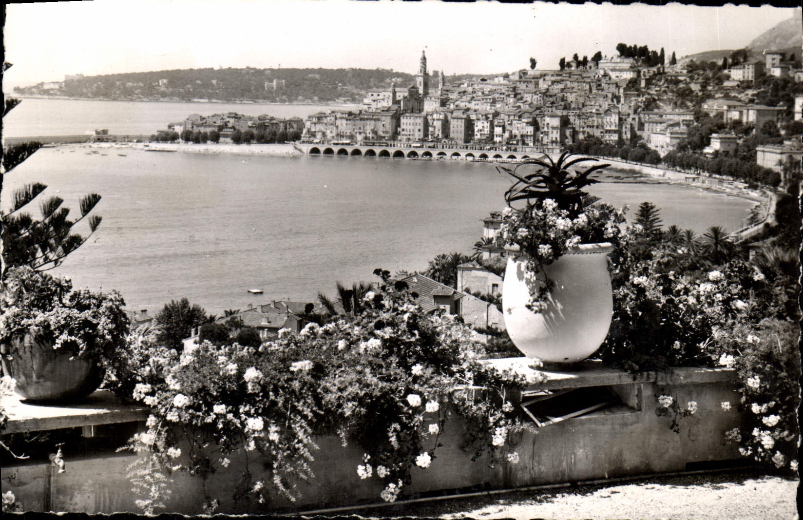 CPM La Cote d'Azur Menton Vue Generale Et le Cap Martin