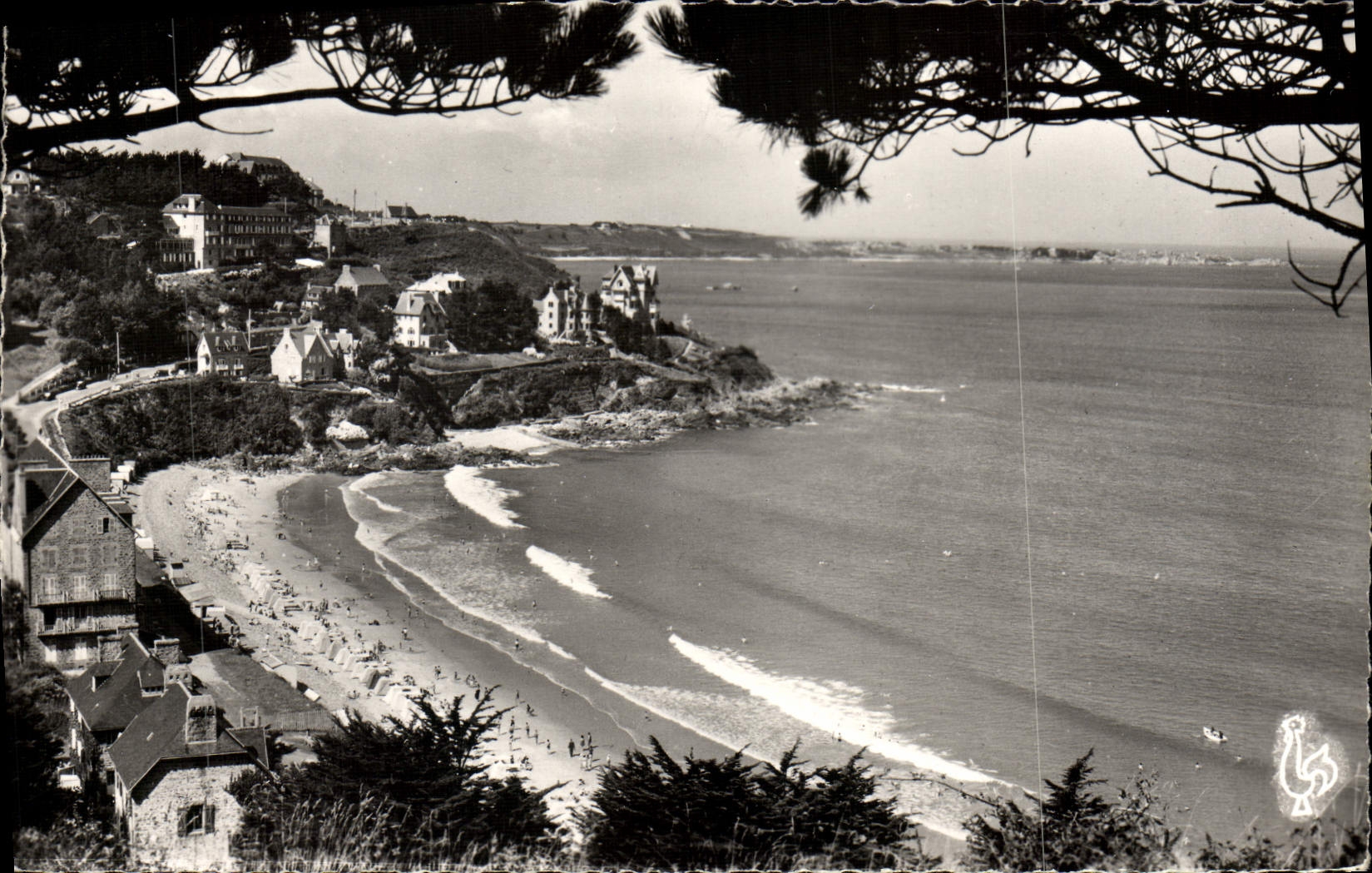 MODERN CARD Trestonel