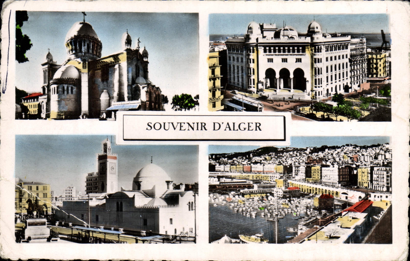 CPM Souvenir D'Alger