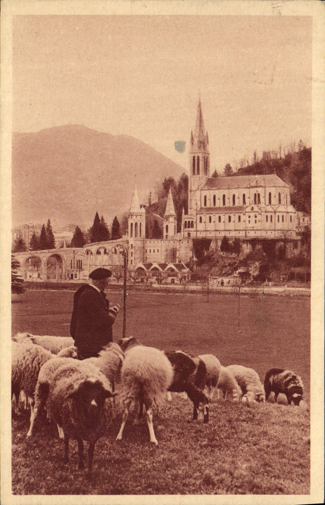 VINTAGE POSTCARD Heavy the Basilica Shepherd Sheep