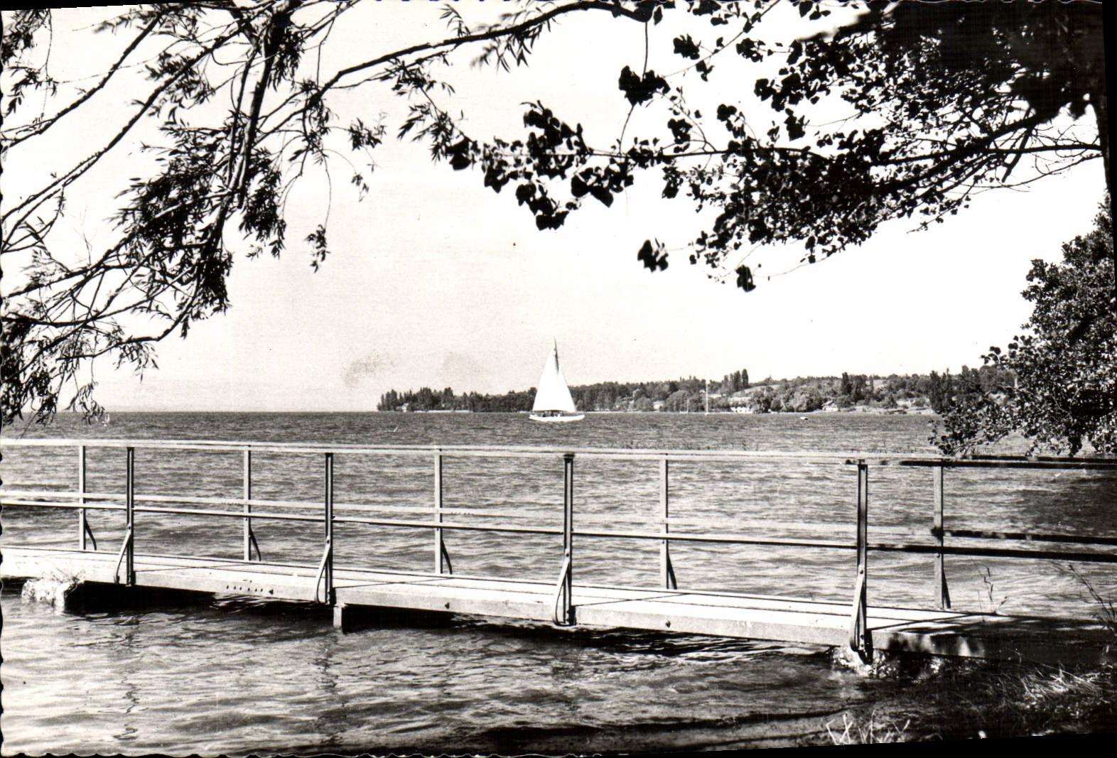 MODERN CARD Hermancia Seen Towards Tougues Boat