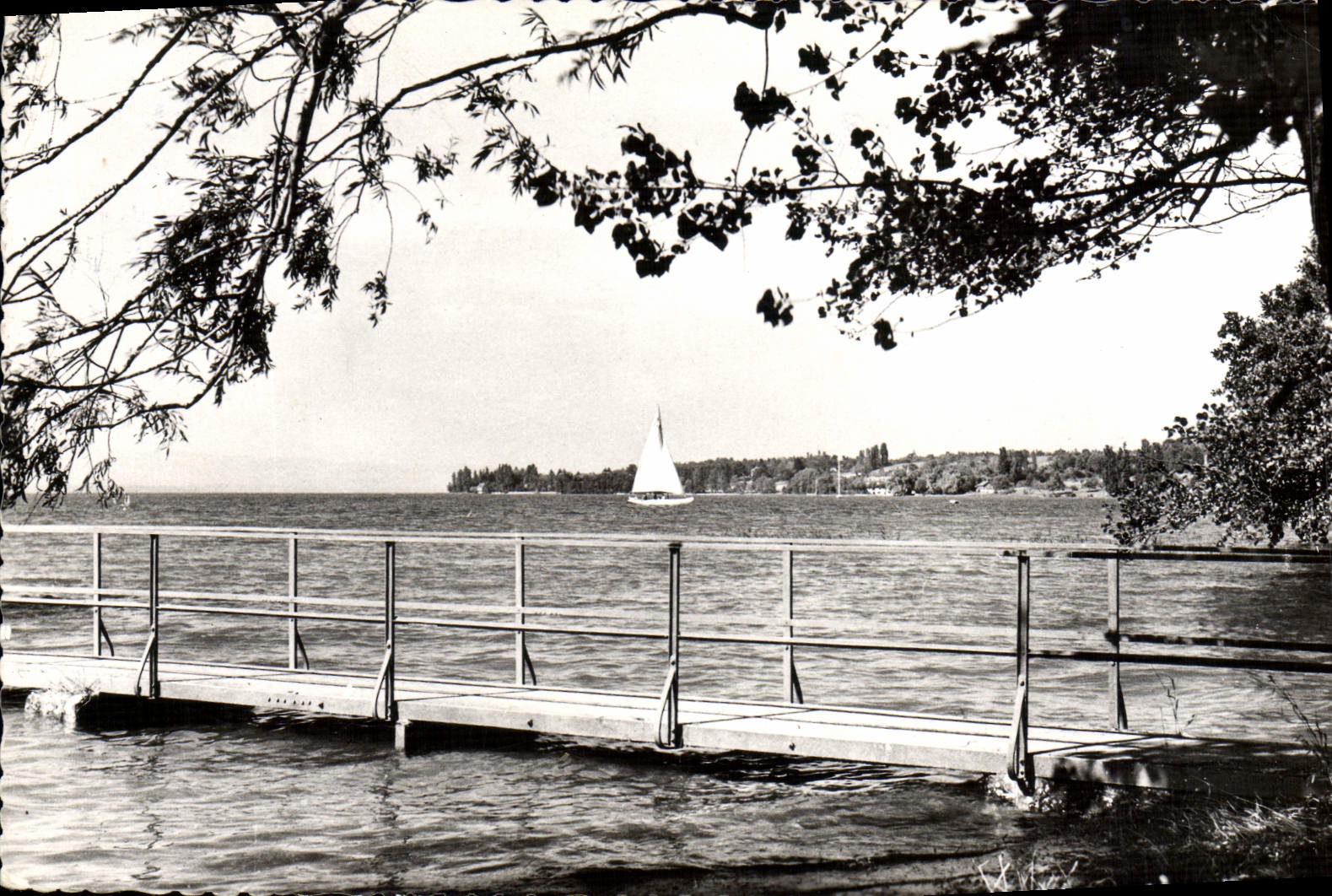 CPM Hermancia Vue Vers Tougues Bateau