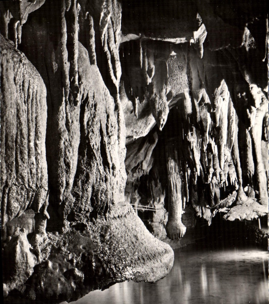 MODERN CARD Caves De Betharram Mushrooms Shifts