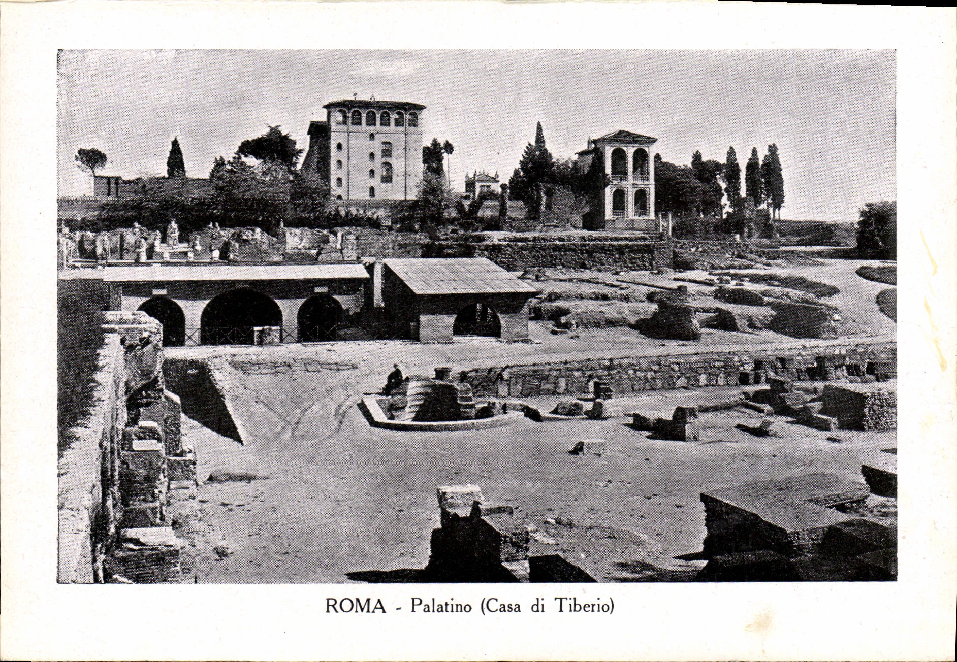 Di Tibero de la POSTAL de la VENDIMIA de Roma Palatino Put