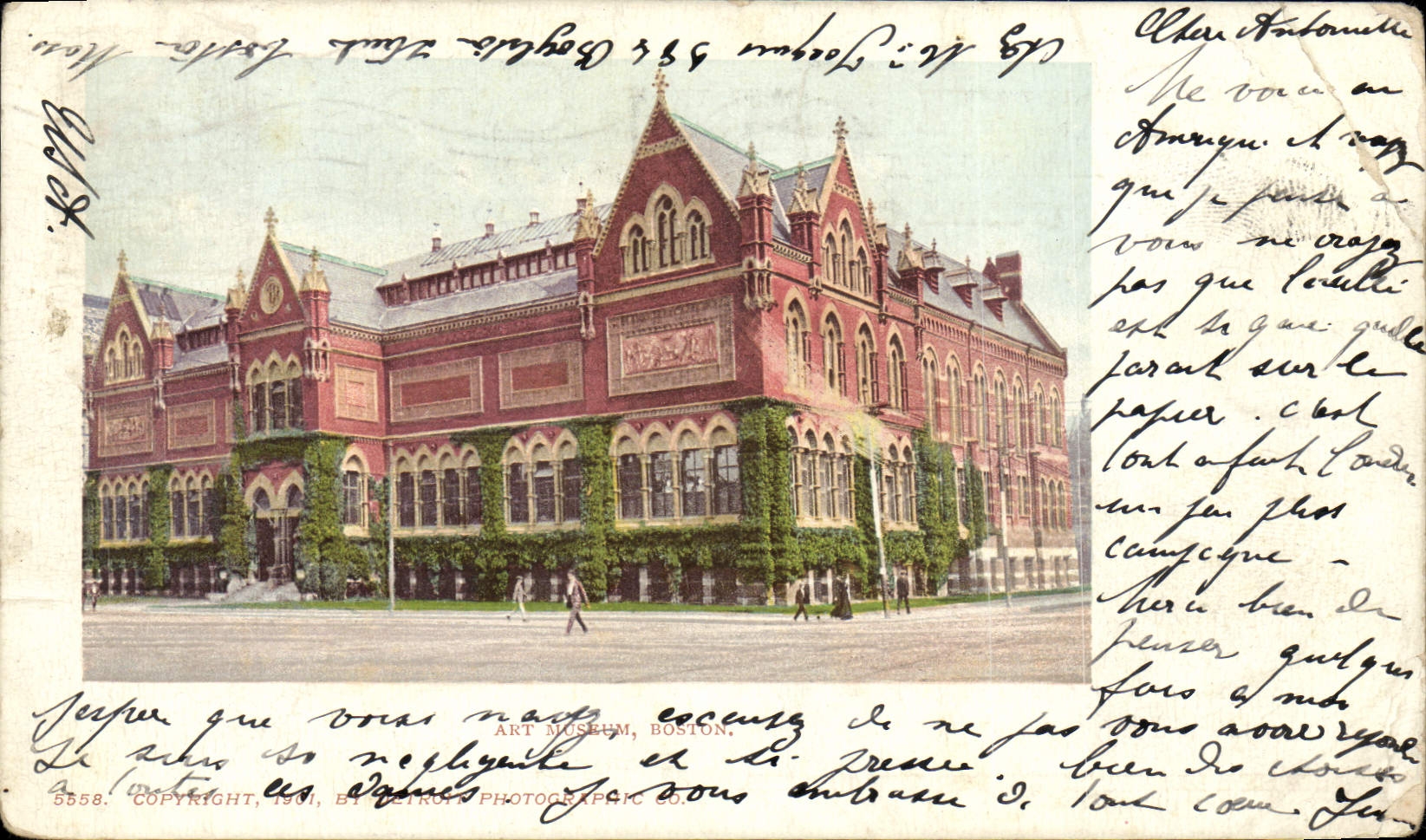 VINTAGE POSTCARD Art Boston Museum