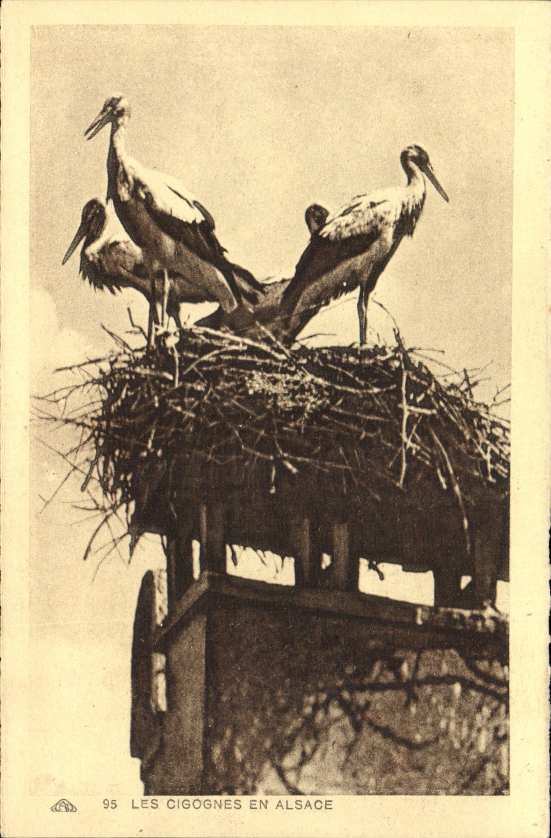 CPA Les Cigognes en Alsace