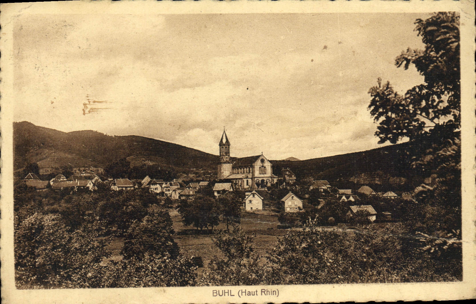 Buhl de la POSTAL de la VENDIMIA