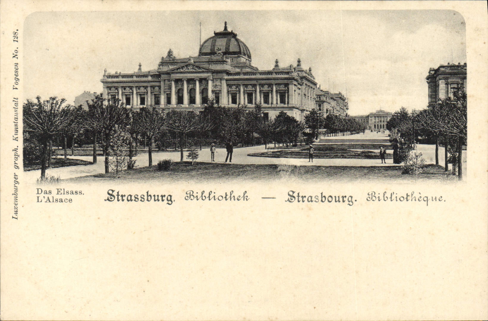 Biblioteca de Estrasburgo de la POSTAL de la VENDIMIA