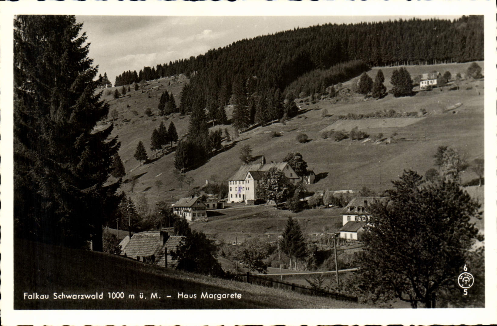 VINTAGE POSTCARD Falkau Schwarzwold Haus Margarete
