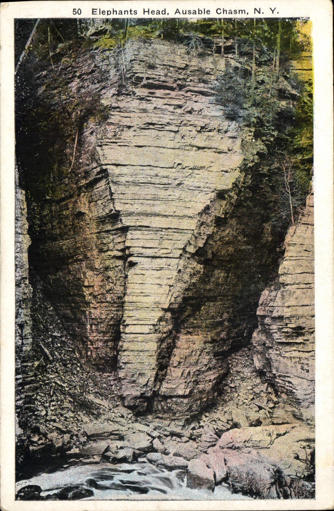 VINTAGE POSTCARD Elephants Head Ausable chasm Elephant