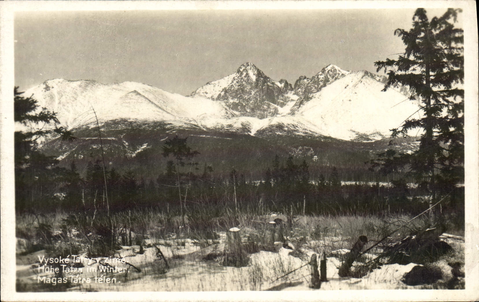 Zime de Vysoke Tarry de la POSTAL de la VENDIMIA allí