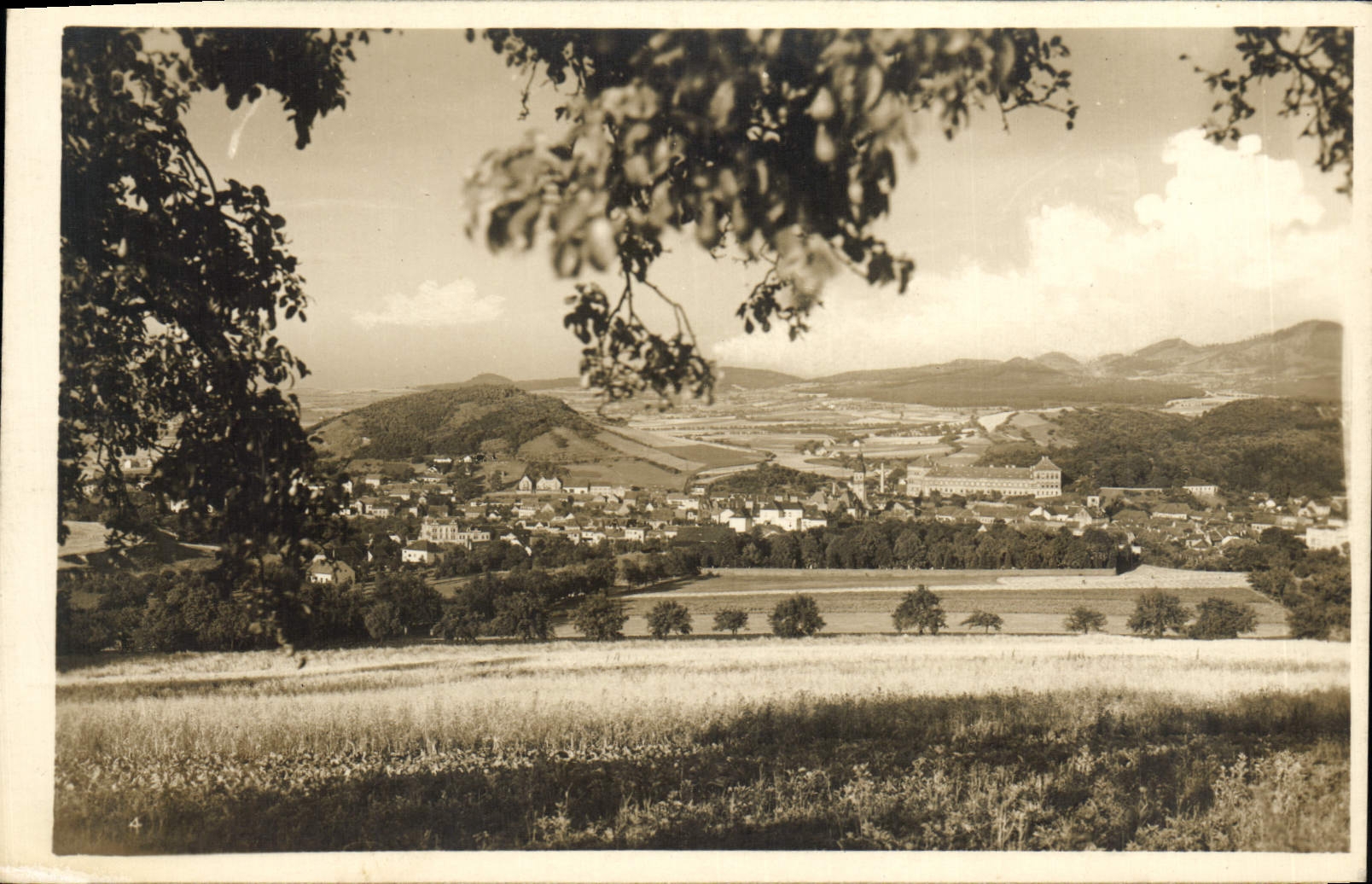 POSTAL Bilin de la VENDIMIA