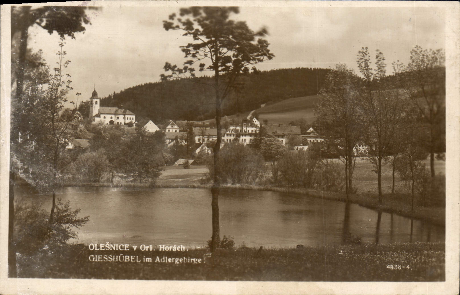 POSTAL Olesnice V Orl Horach de la VENDIMIA