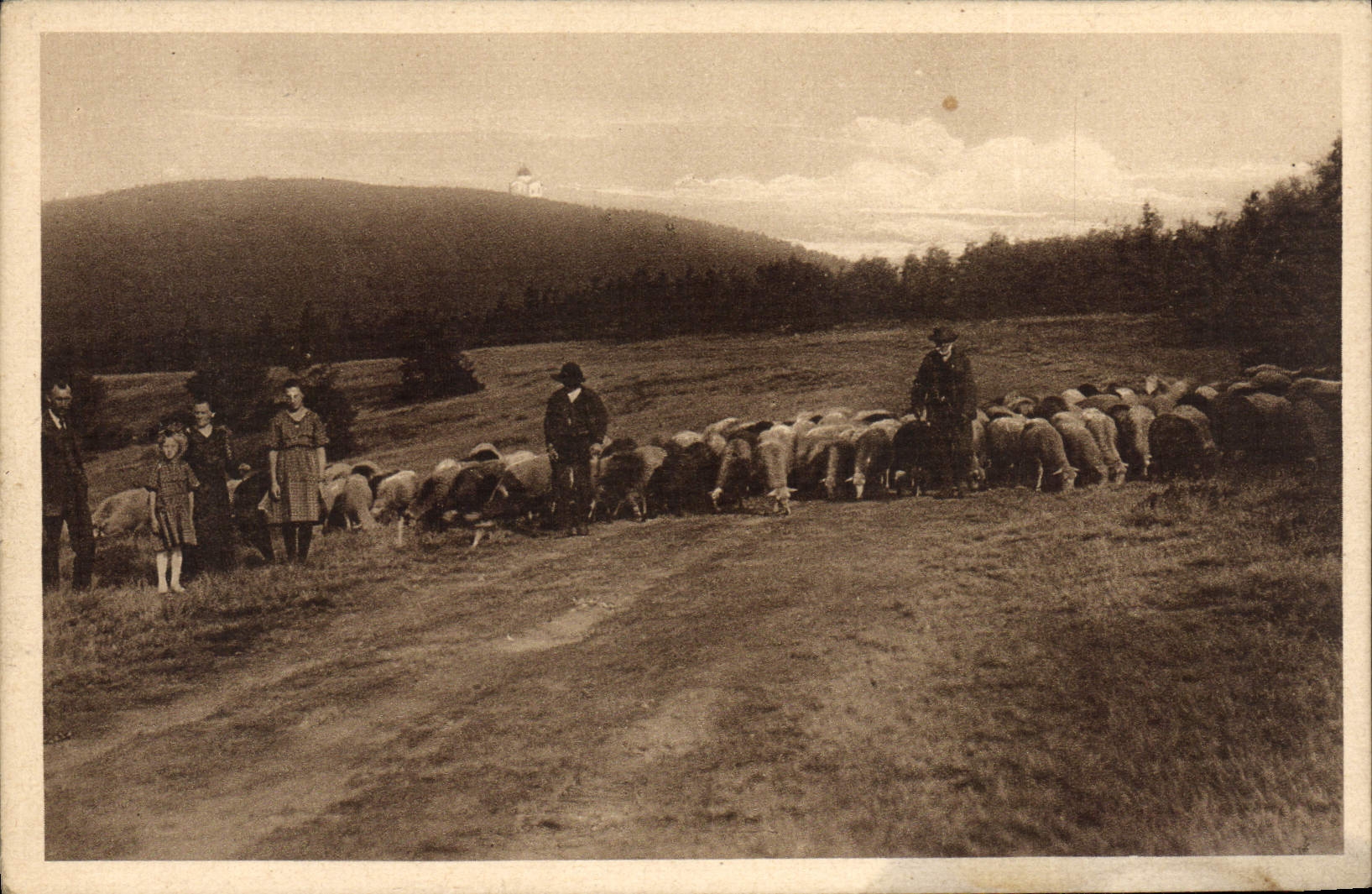 CPA Partie na Radhosti Berger moutons