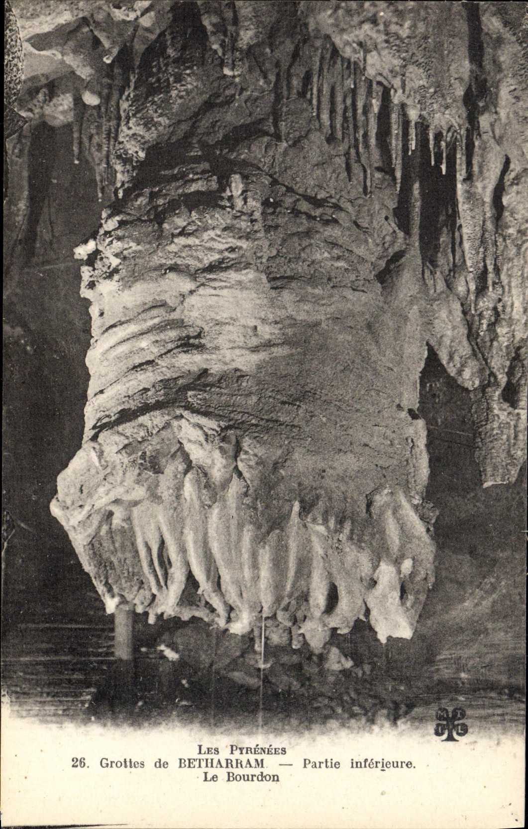 VINTAGE POSTCARD Caves of Betharram Partic Lower the Bumblebee