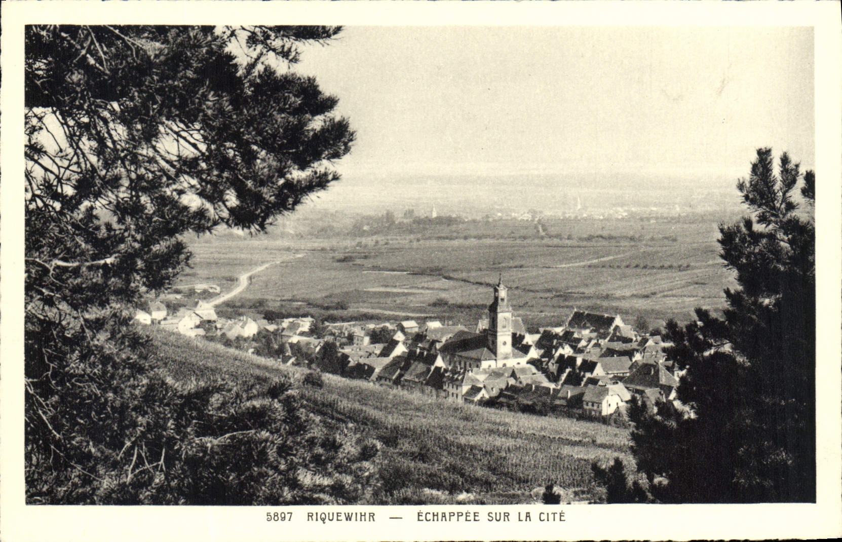 CPA Riquewihr Echappee sur la Cite