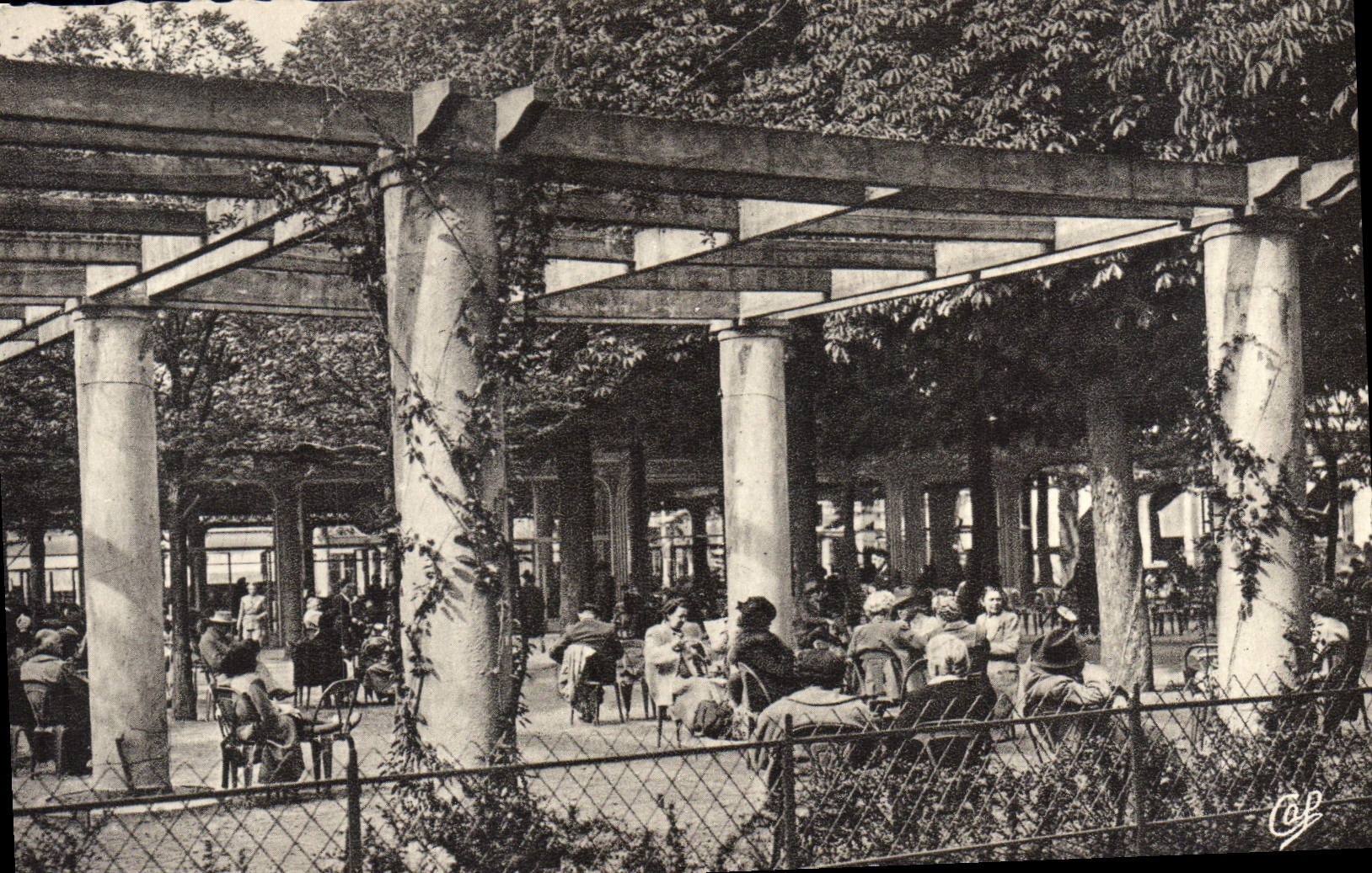 MODERN CARD Vichy the Pergola