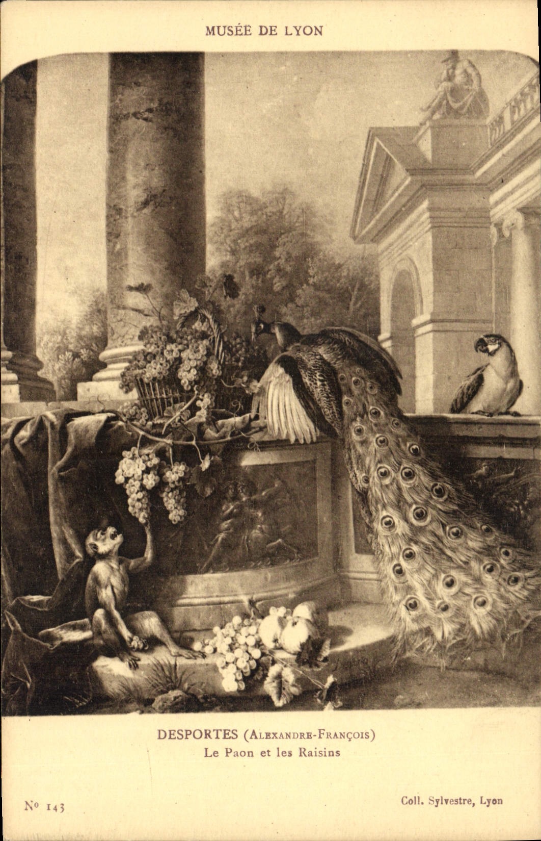 VINTAGE POSTCARD Museum of Lyon Desportes the Peacock and the Grapes Monkey Parrot