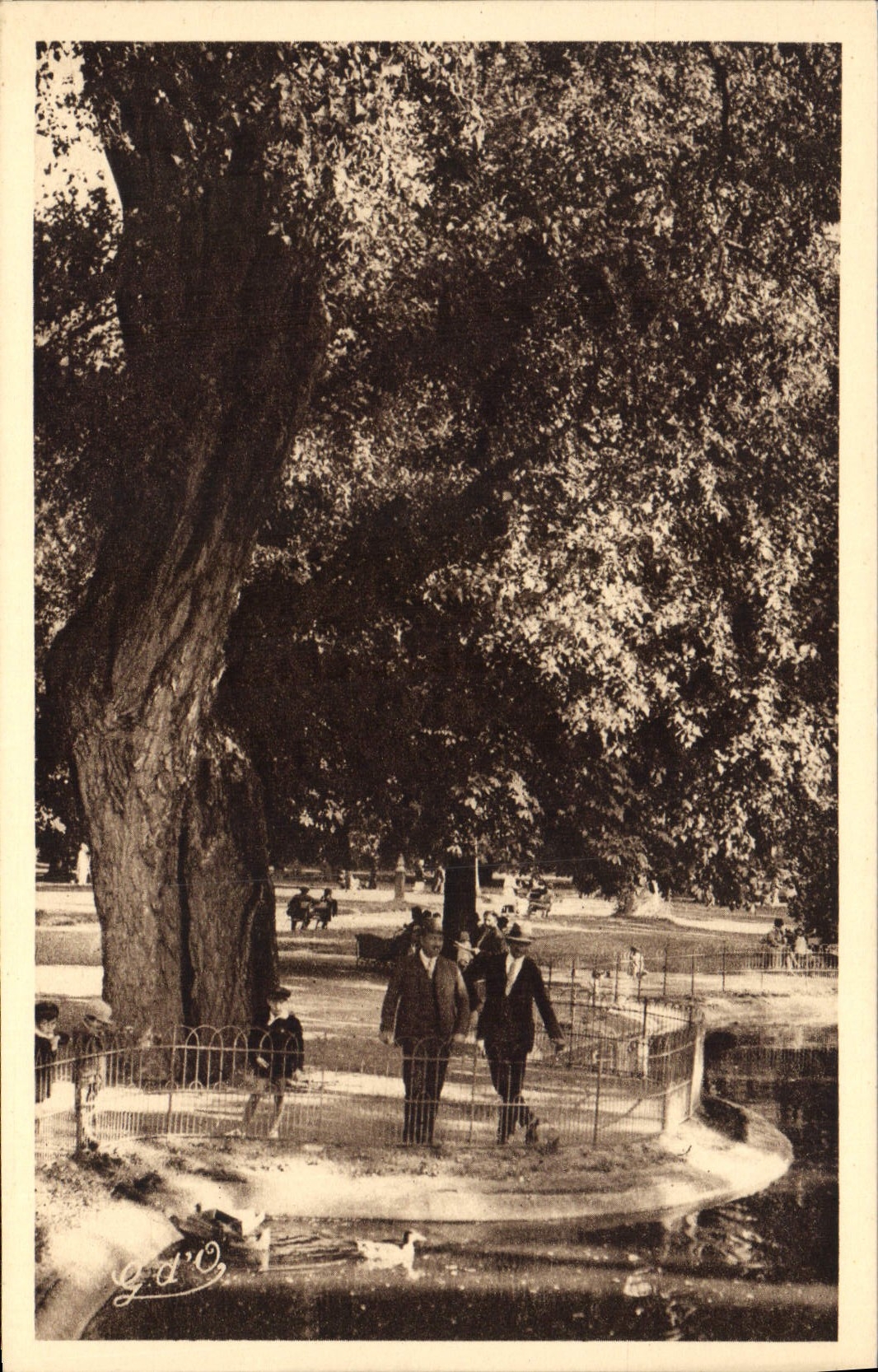 VINTAGE POSTCARD Vichy In the Large Parks Basin of the Swans
