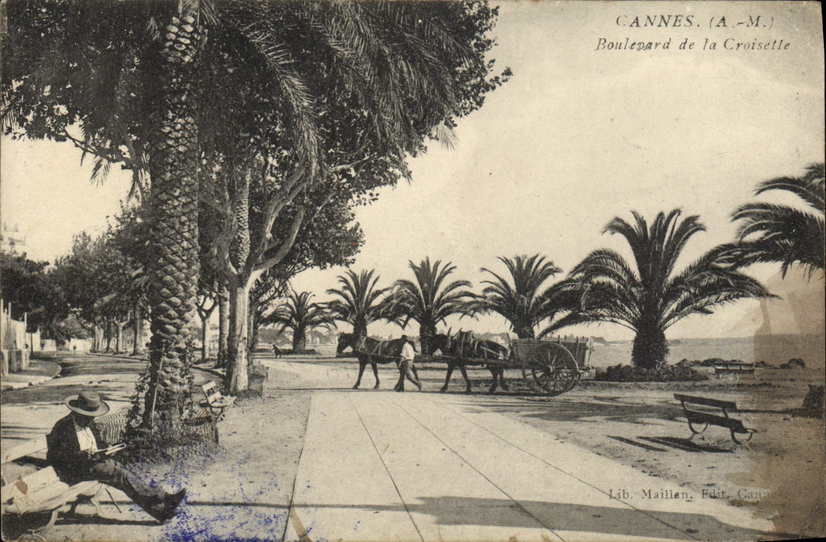 VINTAGE POSTCARD Cannes Boulevard Of the Small cross Coach (nice shot) Horse