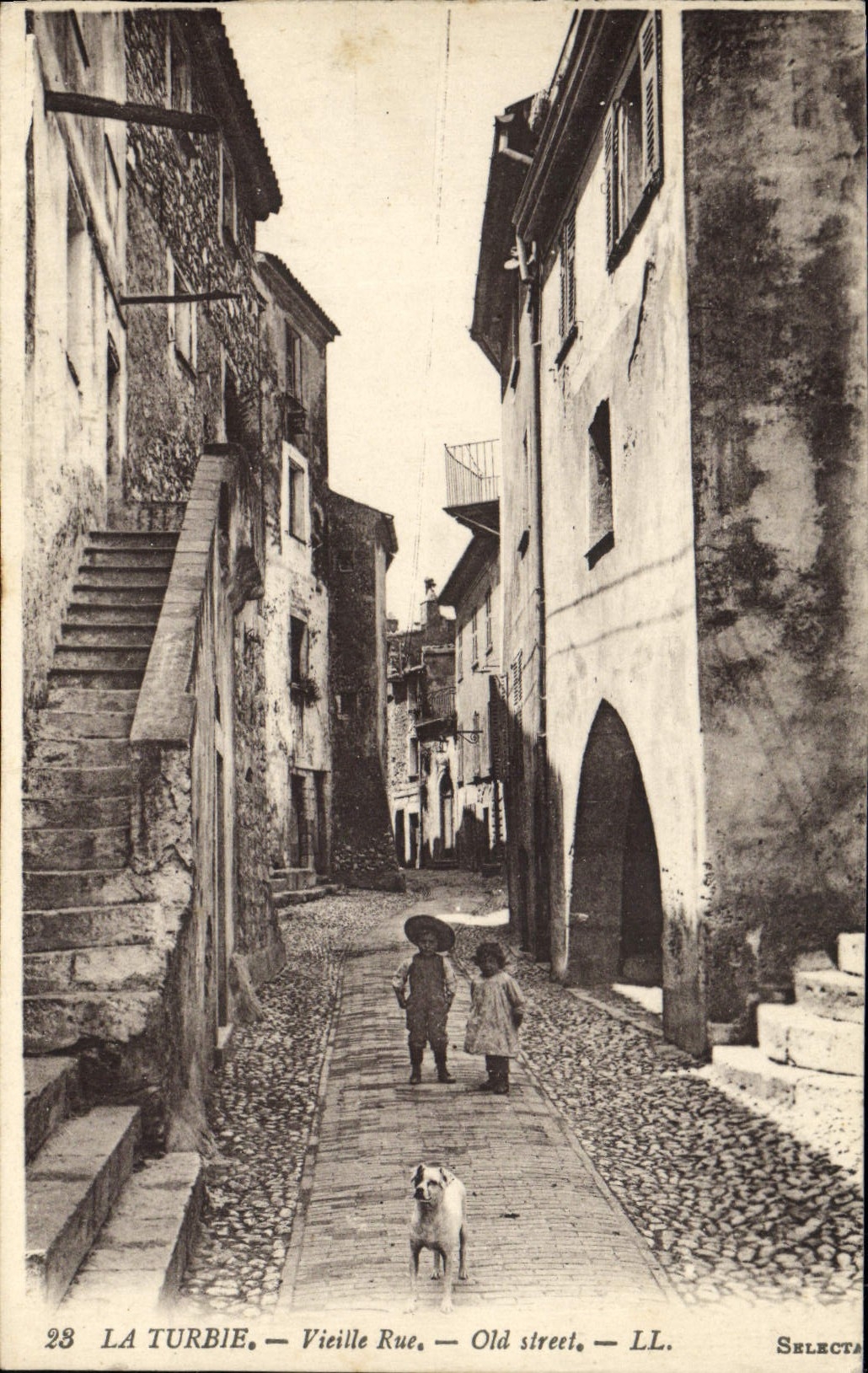 Perro viejo de los niños de la calle de la POSTAL de la VENDIMIA La Turbie