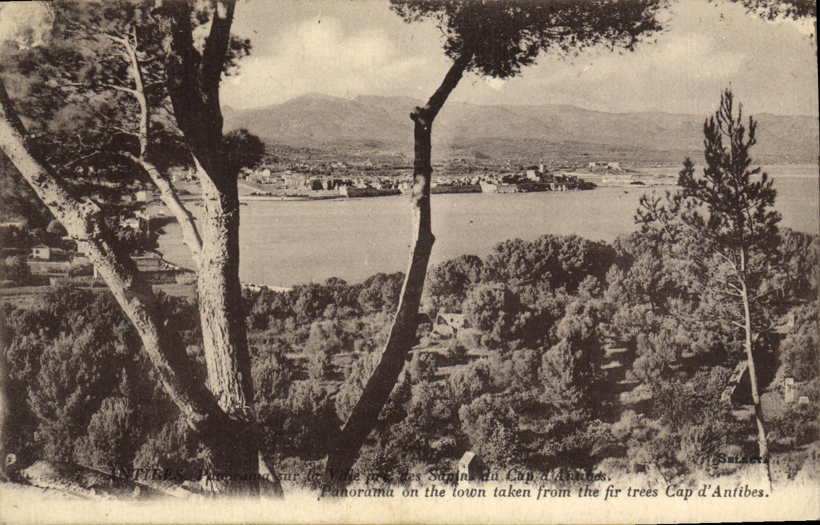 CPA Antibes Panorama Sur La Vilie Pres des sapins du Cap d'Antibes