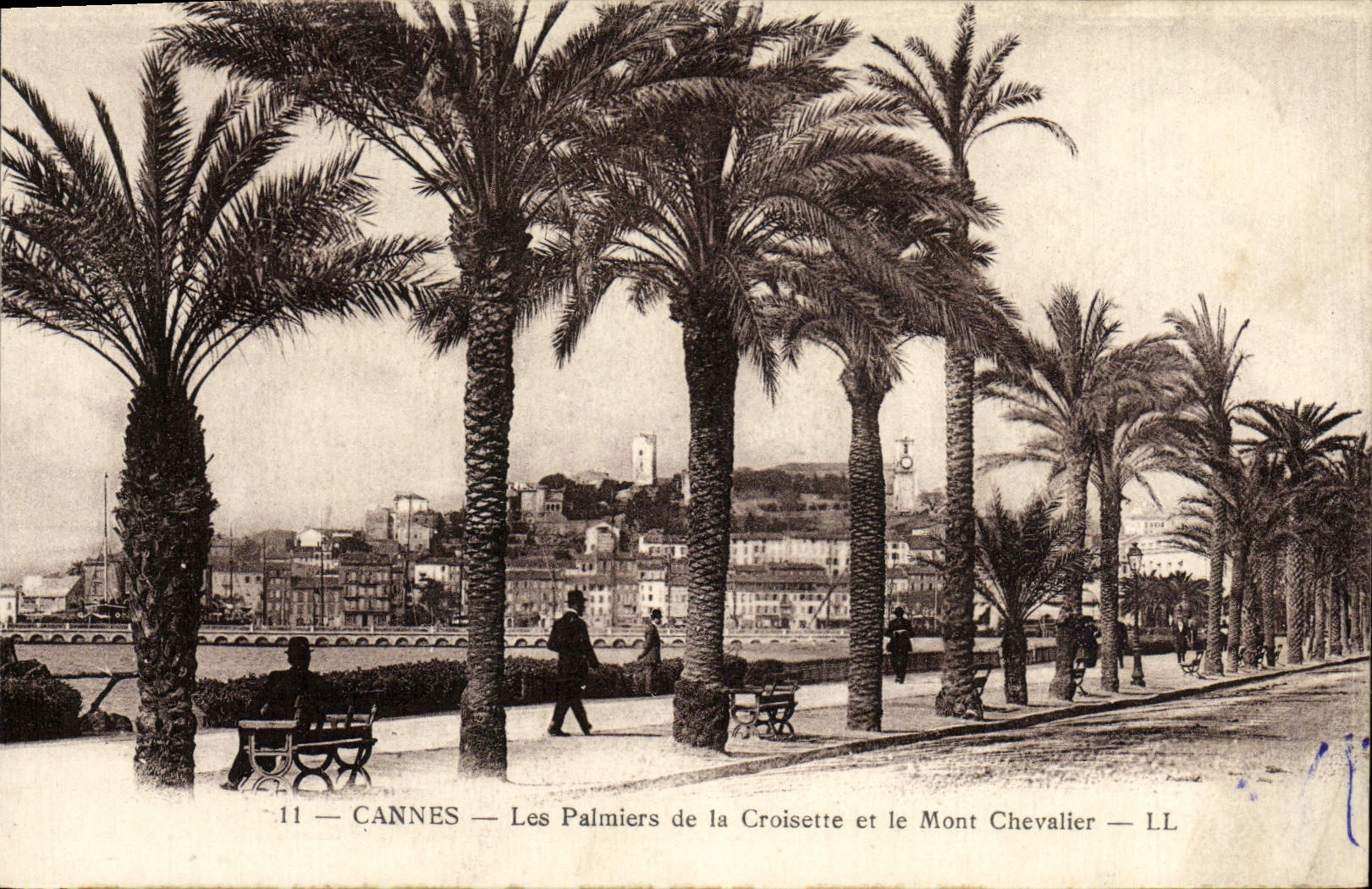 CPA Cannes Les Palmiers De La Croisette Et Le Mont Chevalier