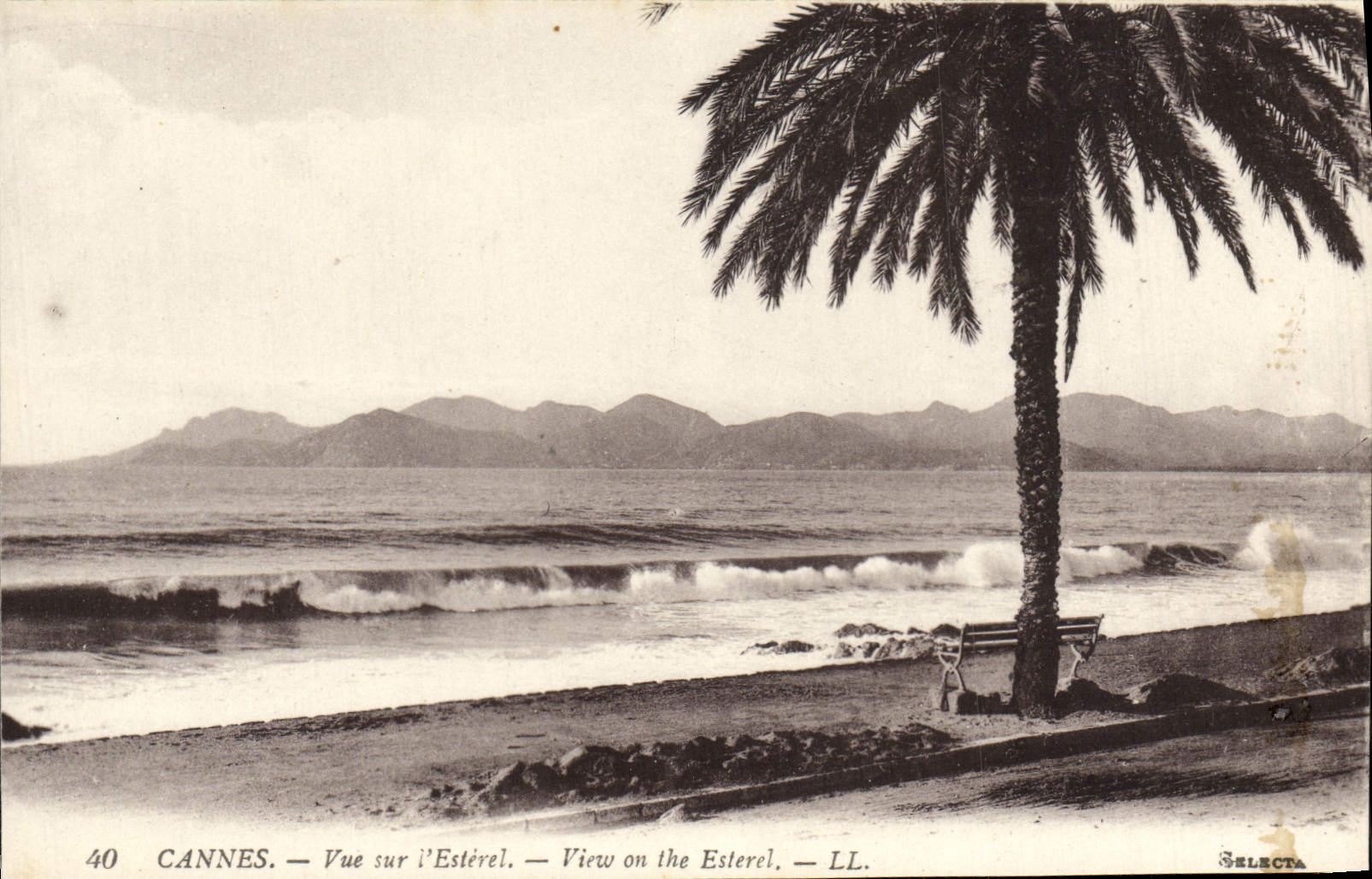 CPA Cannes Vue Sur l'Esterel